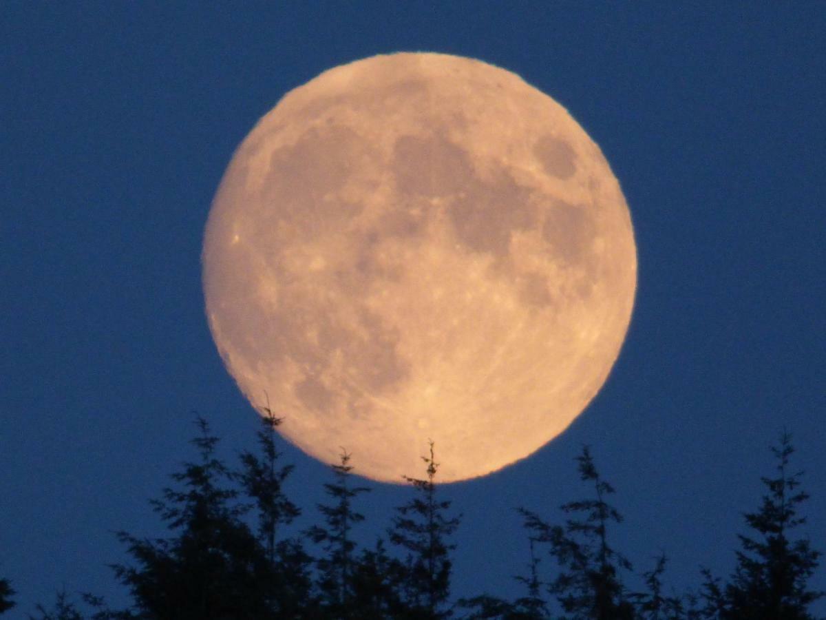 Hunters Moon B&B Tidworth Esterno foto